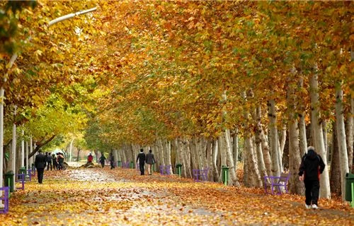 مشهد مشهد در پاییز؛ زیبایی هایی که نمی دانستید