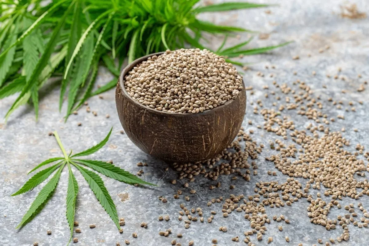 خواص شاهدانه برای تخمدان