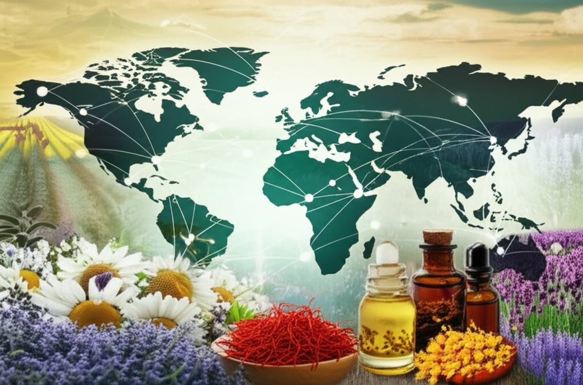 خلاصه کتاب تولید و صادرات گیاهان دارویی | فاتحی، صوفی، احدی