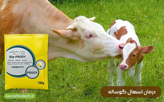 معجزه درمان اسهال با پودر درمان حمایتی اسهال دیا پرودی
